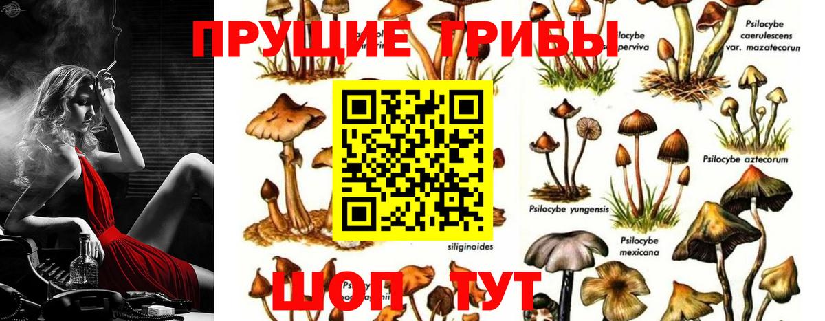 Чусовой  Псилоцибиновые грибы ЛСД  Вход с VPN 
